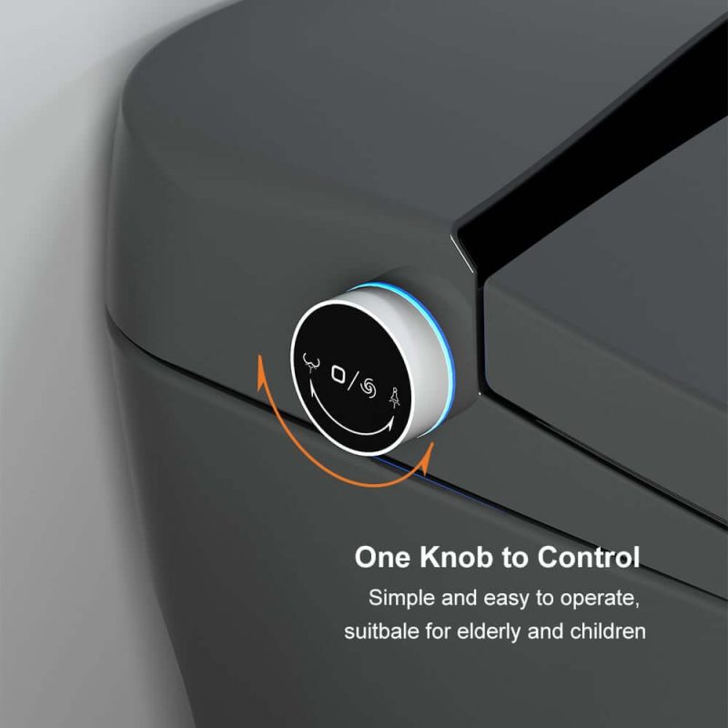 Automatic Smart Bidet Toilet with Multi-Function Gray 1.28 GPF