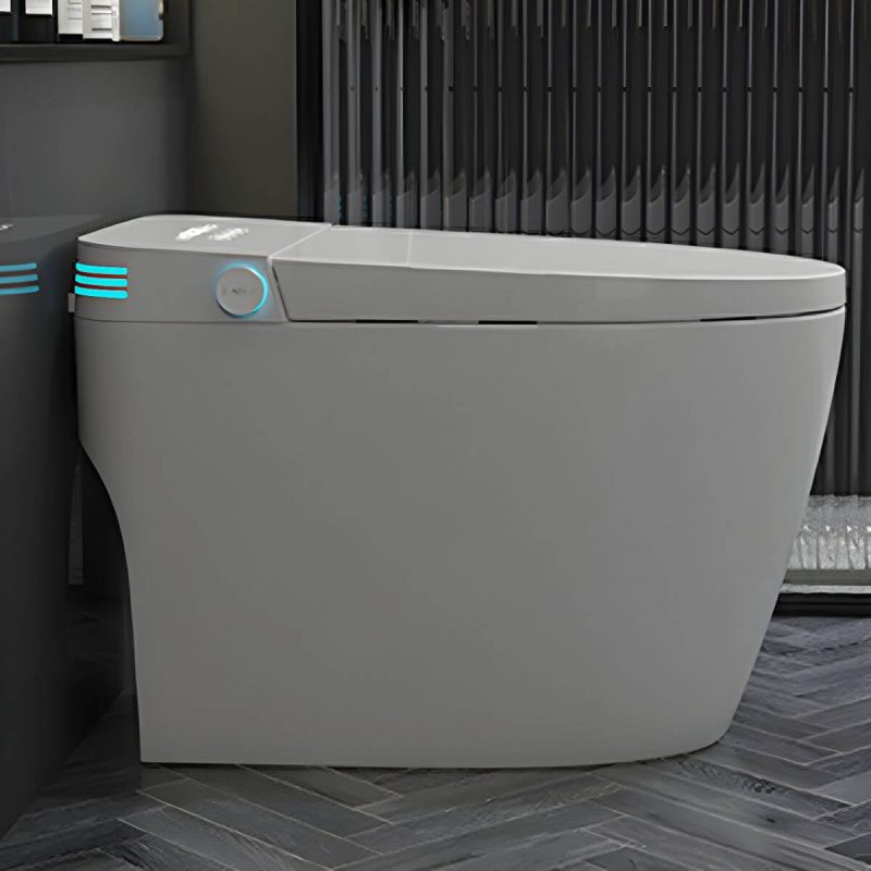 Stain Resistant Smart Toilet Deodorizing Elongated Floor Mount Bidet - 12" Grey Automatic Flap & Ultraviolet Sterilization