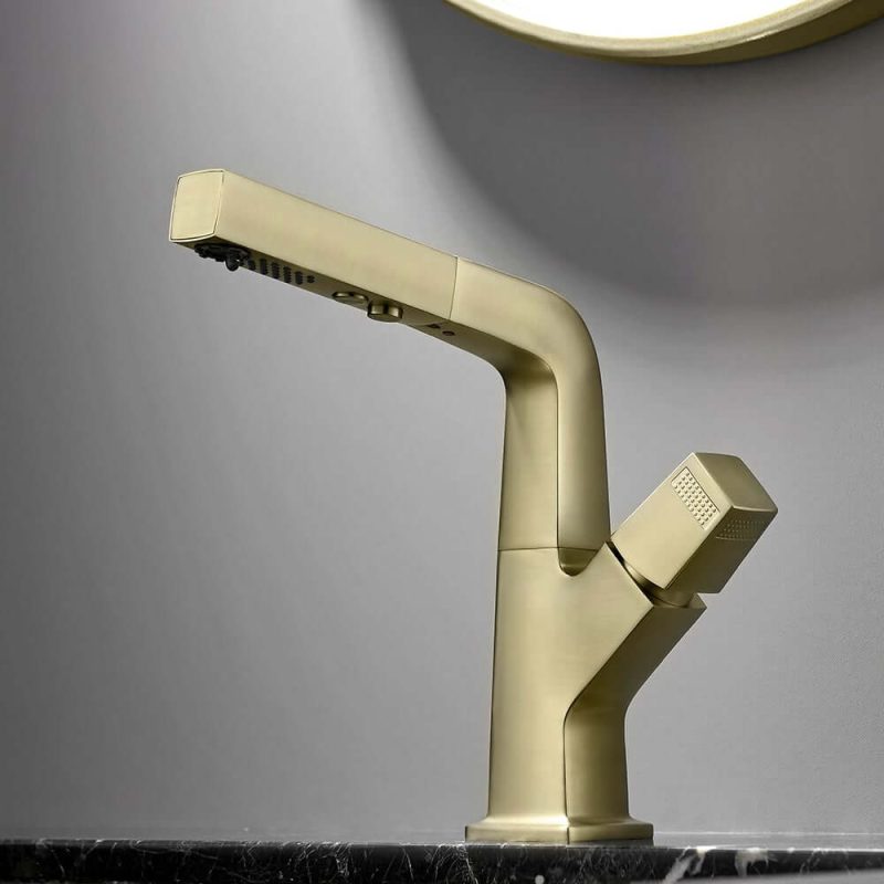 Brushed Gold Modern Single Hole Bathroom Sink Faucet Dual Function Pull-Out Spray Faucet