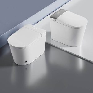 Minimalist Super Vortex Siphon Flush Elongated Grey One-Piece Toilet with Concealed Tank & Antimicrobial Seat & Polymer Sitting surface material, 9.8"