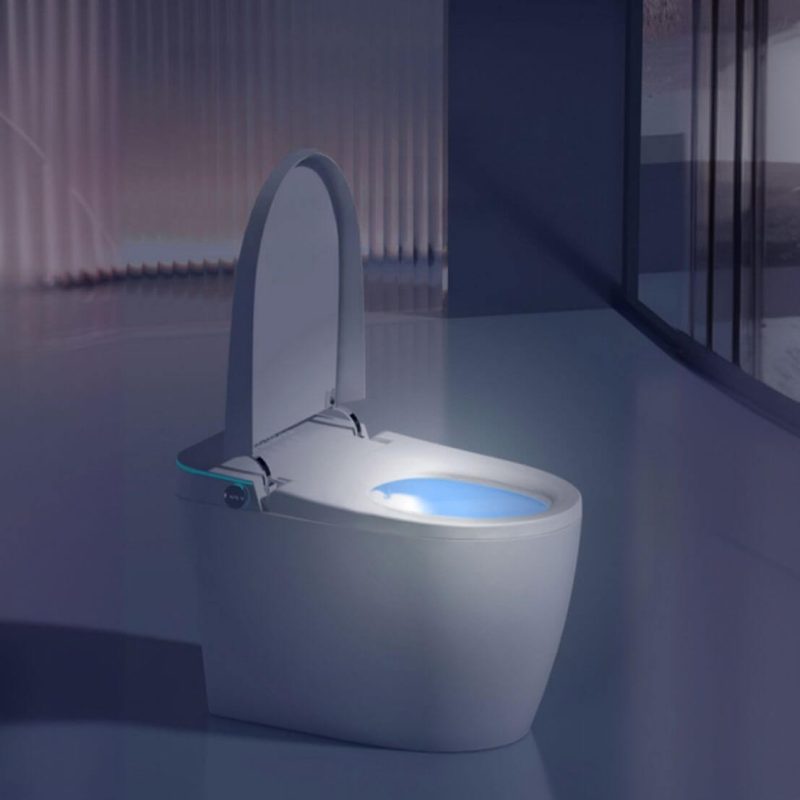Minimalist White One-Piece Toilet with Siphon Jet Flush, Concealed Tank, Polymer Compound Seat, Antimicrobial Seat, Floor Mounted, 9.8"