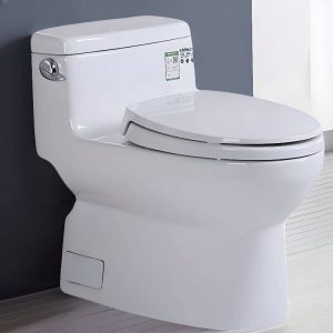 Minimalist One-Piece Toilet with Tank Lever, Round Bowl, 16" Rough In, Soft Close Seat, Siphon Jet Flush, and Polymer Compound
