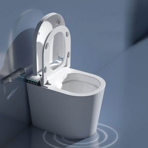 Elongated Siphon Jet One-Piece Toilet with Concealed Tank & Antimicrobial Seat & Midnight Black Polymer seat, Pit distance 16" Rough in Size