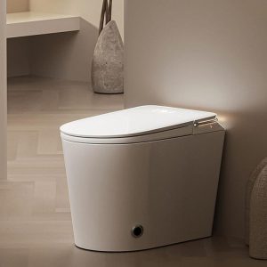Modern White One-Piece Toilet with Super Vortex Siphon Flush, Heated Seat, 12" Rough In, Concealed Tank, and Synthetic Seat, Manual Flip (Standard)